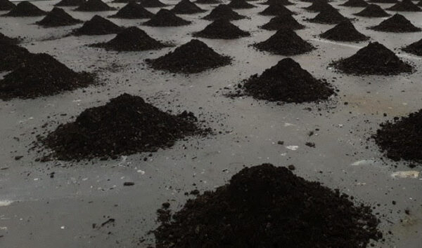 1b125bbb f6ed 4b6f bf67 18619cf1a472